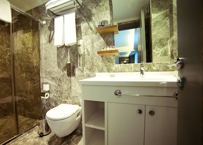 Ankacity Flat 3* אנקרה